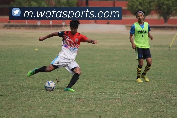 球赛投注平台生态图