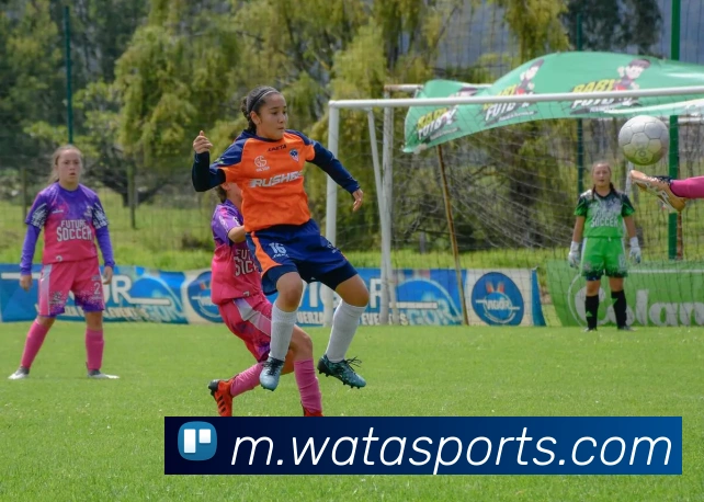 球赛投注全站App